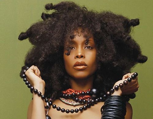 2680-erykah-badu.jpg